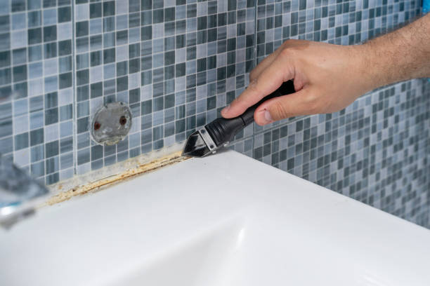 Best Local Mold Removal Service  in El Jon, CA